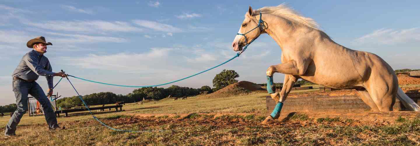 Clinton Anderson Reining