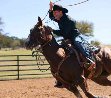 Trevor Brazile