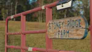 Reflections on the Stoney Ridge Farmer