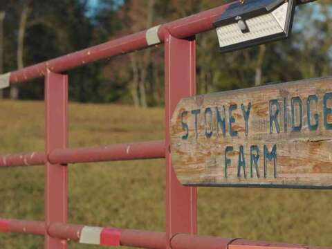 Reflections on the Stoney Ridge Farmer