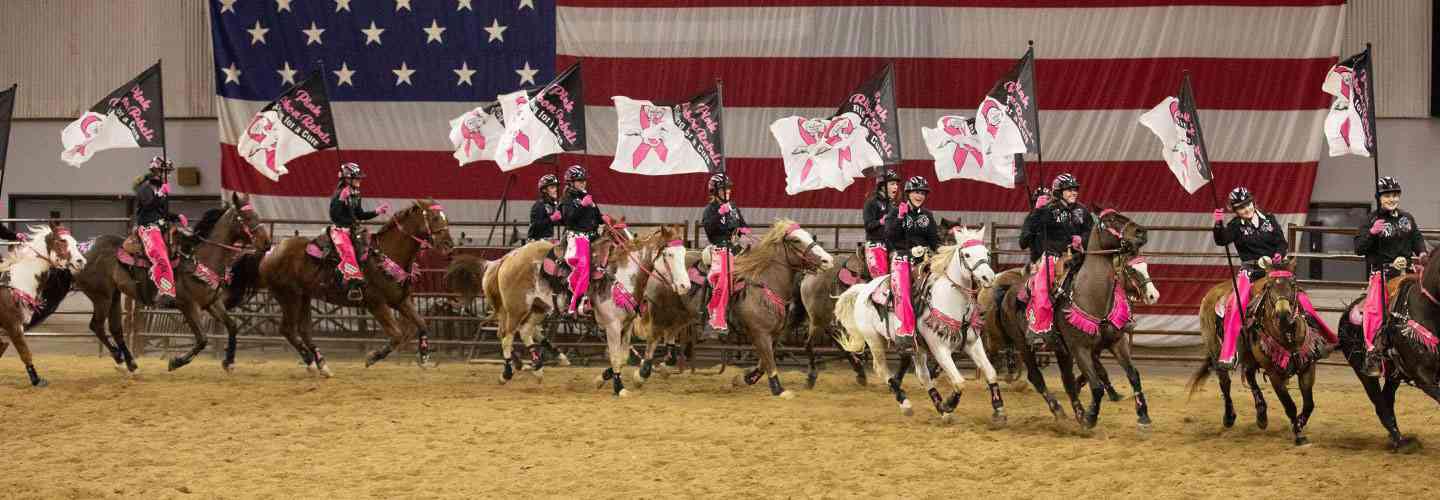 Midwest Horse Fair Team ABI