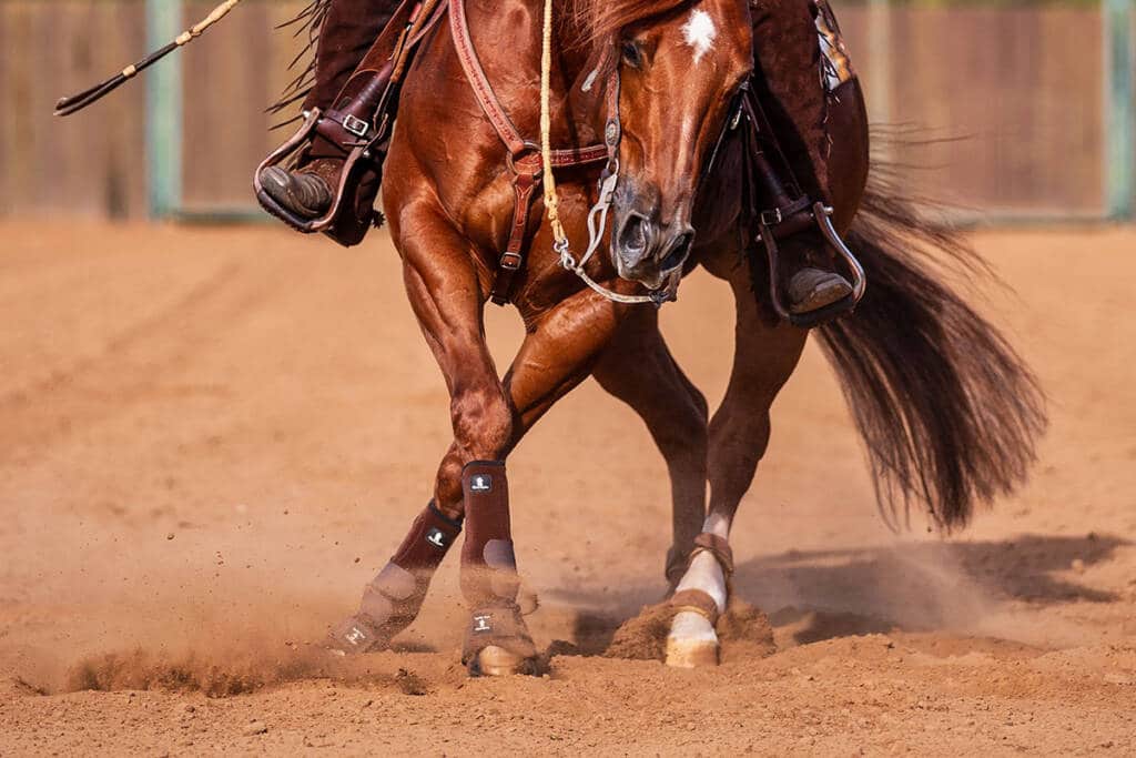 Horse Anticipating Ground Footing