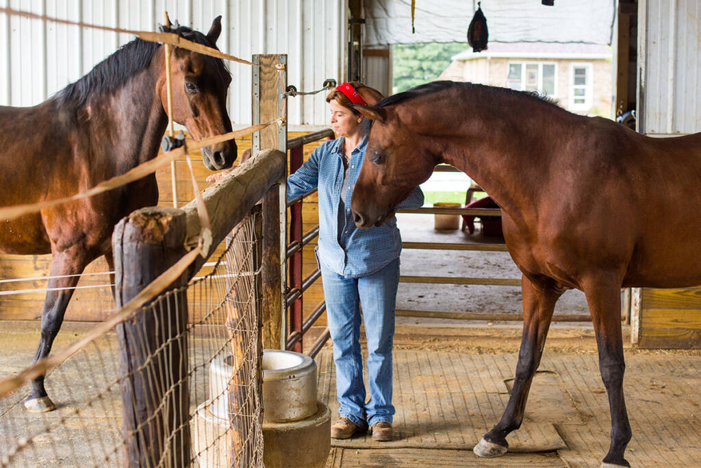 Horse Preventative Care