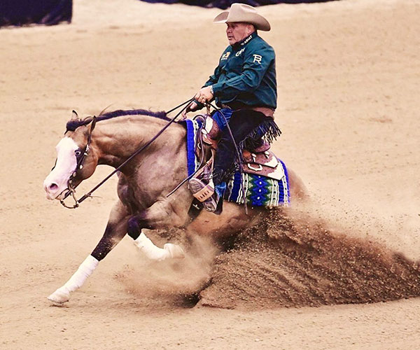 Shawn Flarida Reining Sliding Stop