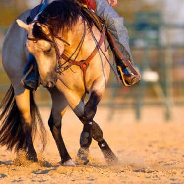 Reining maneuver