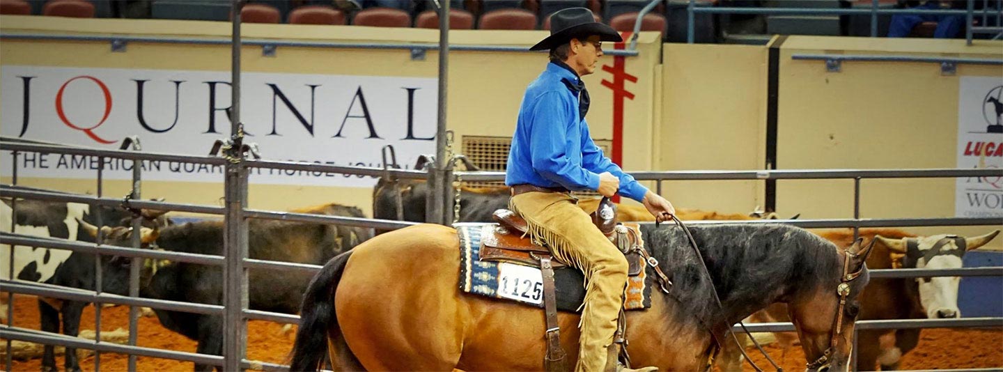 Craig Johnson Reining