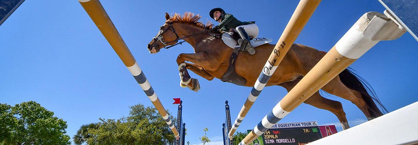Fox Lea Farm The Ultimate Horse Show Venue for Competitors ABI