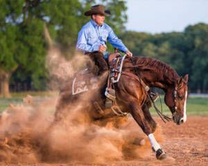 Horse Arena Footing