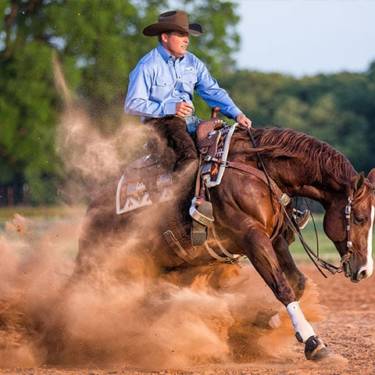 Horse Arena Footing