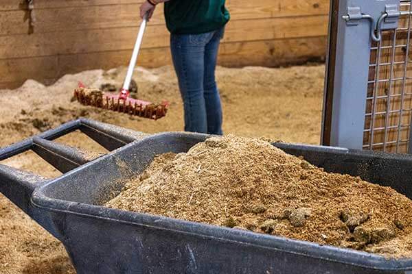An image of a young lady hand loading manure into a manure spreader