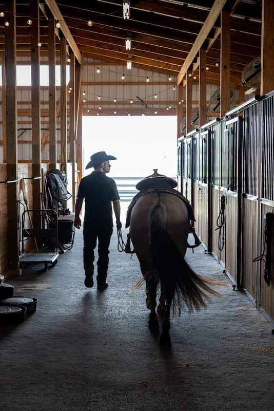 Man walking with a horse in a stable towards a brightly lit entrance