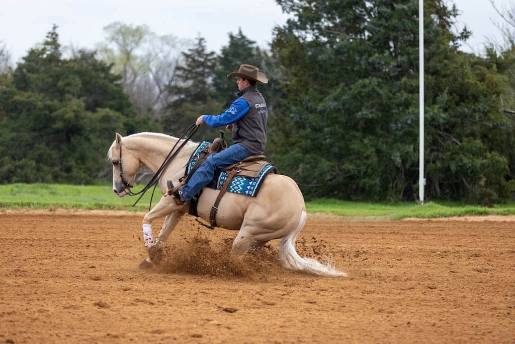 DragMaster Horizon Josh Crawley riding a horse outdoors on competition-level footing
